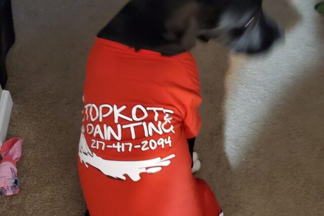 Topkote Painting And Drywall