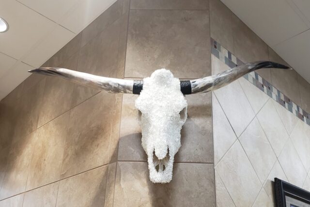 Dallas Drywall & Acoustics. net