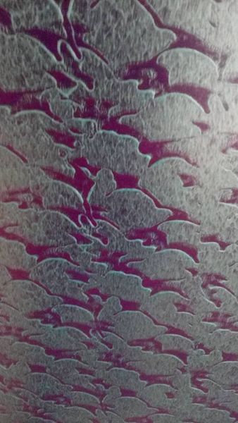 17098304_1255791781202873_4668256914776059047_n 17098304_1255791781202873_4668256914776059047_n