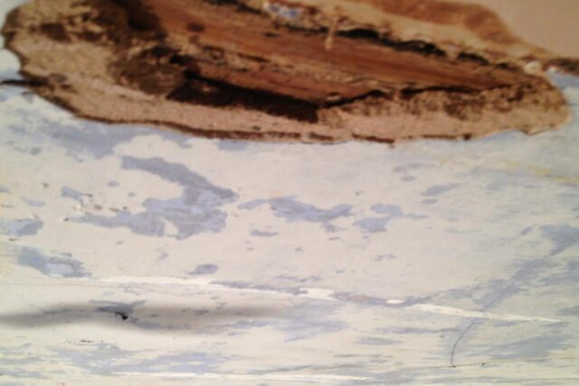 Roy Bond Plastering Services