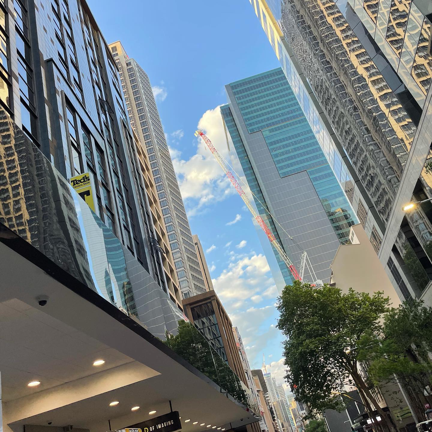 244678886_553183265741398_270842284353205092_n 244678886_553183265741398_270842284353205092_n